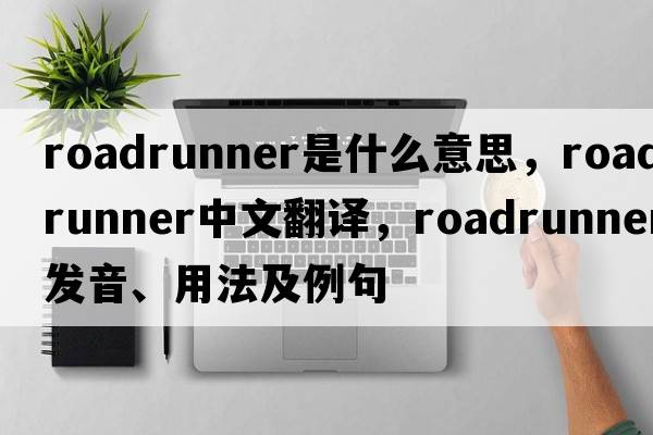 roadrunner是什么意思，roadrunner中文翻譯，roadrunner發(fā)音、用法及例句