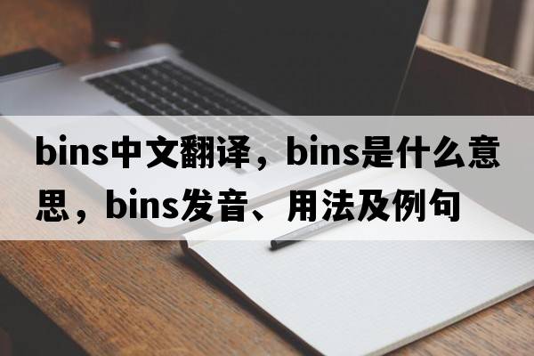 bins中文翻譯，bins是什么意思，bins發(fā)音、用法及例句