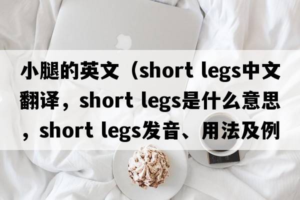 小腿的英文（short legs中文翻譯，short legs是什么意思，short legs發(fā)音、用法及例句）
