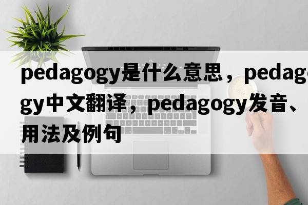 pedagogy是什么意思，pedagogy中文翻譯，pedagogy發(fā)音、用法及例句