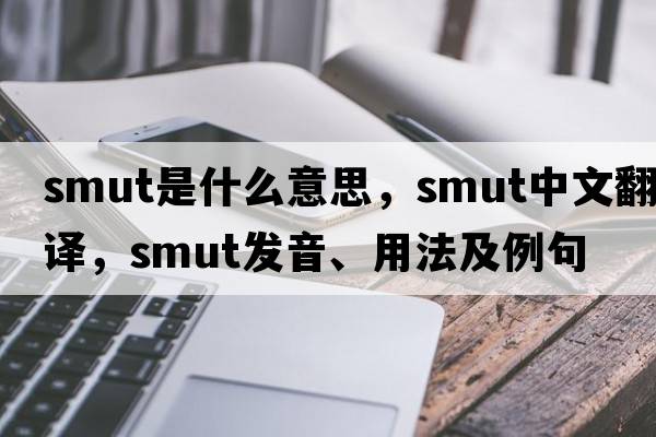 smut是什么意思，smut中文翻譯，smut發(fā)音、用法及例句