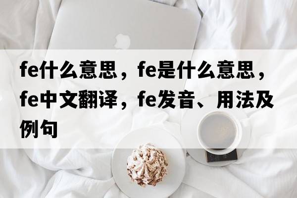 fe什么意思，F(xiàn)e是什么意思，F(xiàn)e中文翻譯，F(xiàn)e發(fā)音、用法及例句