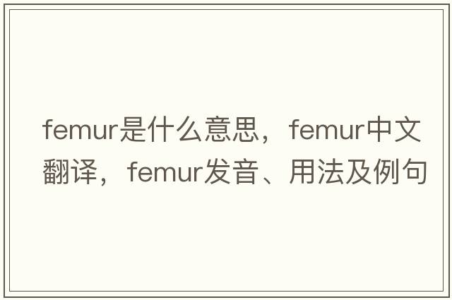 femur是什么意思，femur中文翻譯，femur發(fā)音、用法及例句