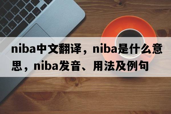 NIBA中文翻譯，NIBA是什么意思，NIBA發(fā)音、用法及例句