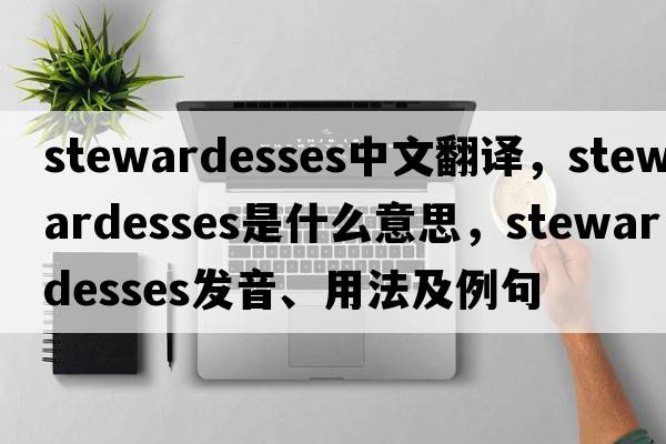 stewardesses中文翻譯，stewardesses是什么意思，stewardesses發(fā)音、用法及例句