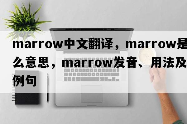 marrow中文翻譯，marrow是什么意思，marrow發(fā)音、用法及例句