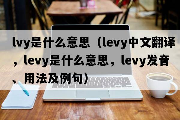 lvy是什么意思（levy中文翻譯，levy是什么意思，levy發(fā)音、用法及例句）
