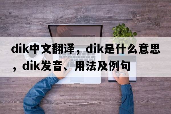 dik中文翻譯，dik是什么意思，dik發(fā)音、用法及例句