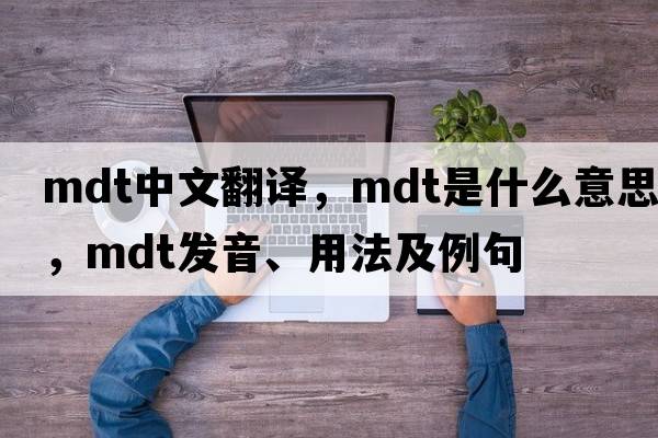 mdt中文翻譯，mdt是什么意思，mdt發(fā)音、用法及例句