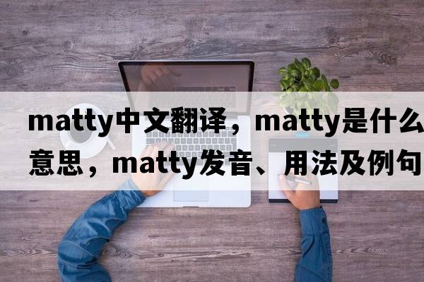 Matty中文翻譯，Matty是什么意思，Matty發(fā)音、用法及例句