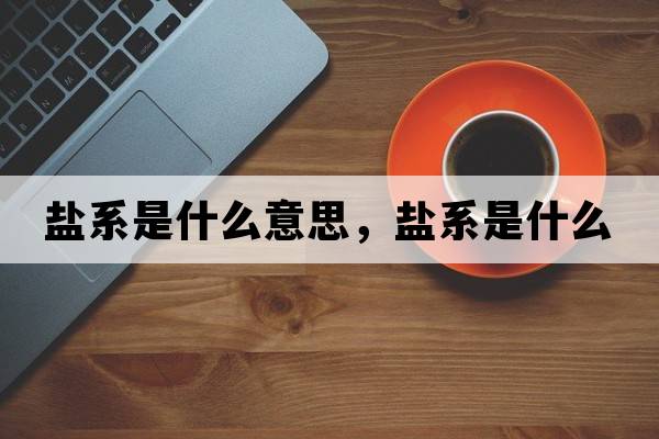 鹽系是什么意思，鹽系是什么