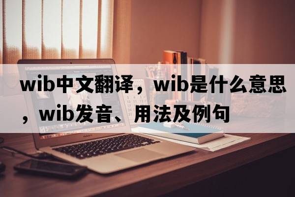 Wib中文翻譯，Wib是什么意思，Wib發(fā)音、用法及例句