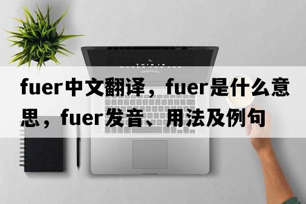 fuer中文翻譯，fuer是什么意思，fuer發(fā)音、用法及例句