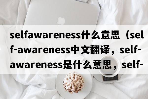 selfawareness什么意思（self-awareness中文翻譯，self-awareness是什么意思，self-awareness發(fā)音、用法及例句）