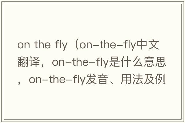 on the fly（on-the-fly中文翻譯，on-the-fly是什么意思，on-the-fly發(fā)音、用法及例句）