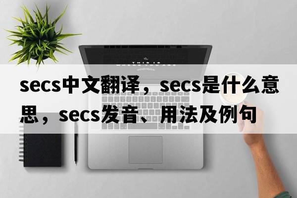 secs中文翻譯，secs是什么意思，secs發(fā)音、用法及例句