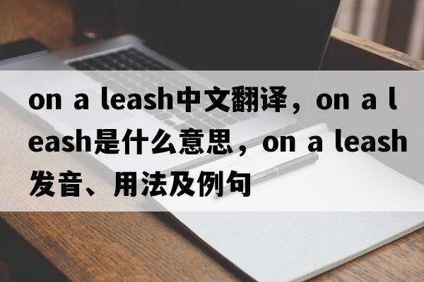 on a leash中文翻譯，on a leash是什么意思，on a leash發(fā)音、用法及例句
