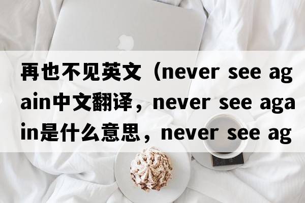再也不見(jiàn)英文（never see again中文翻譯，never see again是什么意思，never see again發(fā)音、用法及例句）