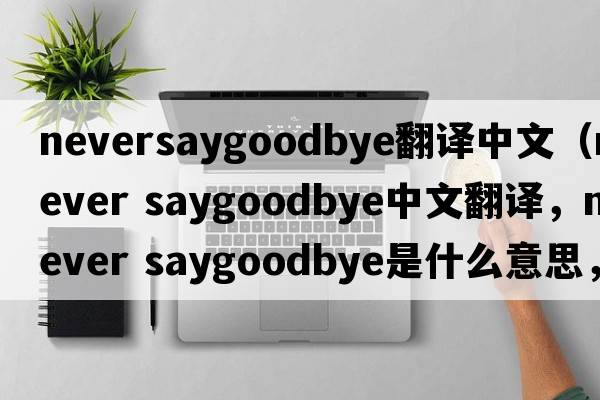 neversaygoodbye翻譯中文（never saygoodbye中文翻譯，never saygoodbye是什么意思，never saygoodbye發(fā)音、用法及例句）