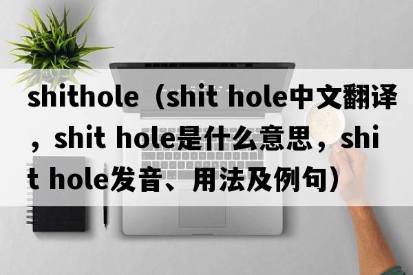 shithole（shit hole中文翻譯，shit hole是什么意思，shit hole發(fā)音、用法及例句）