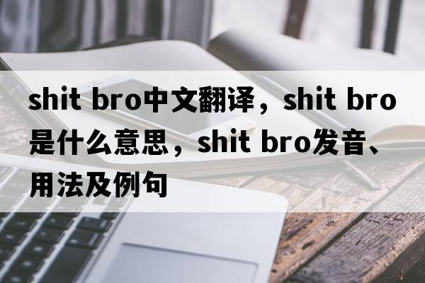 shit bro中文翻譯，shit bro是什么意思，shit bro發(fā)音、用法及例句