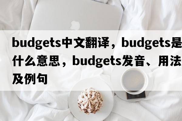 budgets中文翻譯，budgets是什么意思，budgets發(fā)音、用法及例句