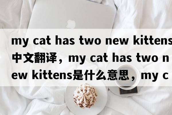 my cat has two new kittens中文翻譯，my cat has two new kittens是什么意思，my cat has two new kittens發(fā)音、用法及例句