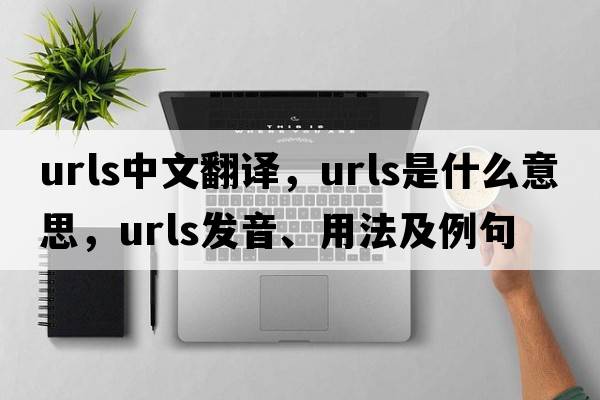 URLs中文翻譯，URLs是什么意思，URLs發(fā)音、用法及例句