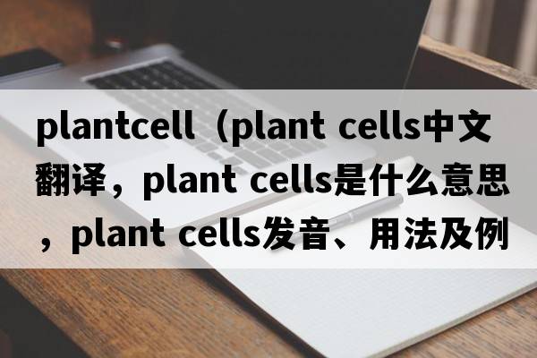 plantcell（plant cells中文翻譯，plant cells是什么意思，plant cells發(fā)音、用法及例句）